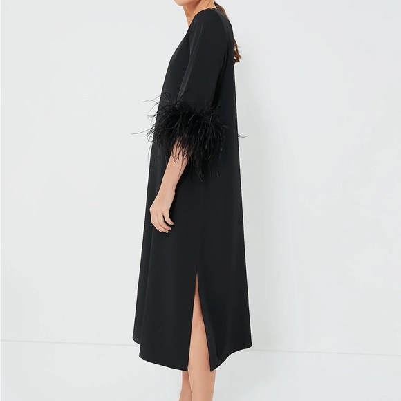 Black Feather Jamie Dress
TUCKERNUCK - Picture 3 of 11